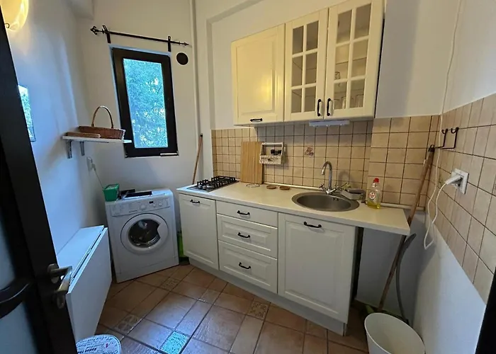 Apartment mit 1 Schlafzimmer